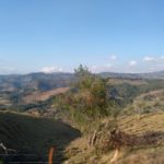 Monteverde-Fahrt-Ausblick