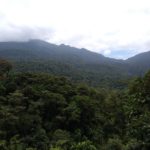 Rio-Celeste-Dschungel
