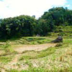 Toraja_Aussicht_Reisterrassen