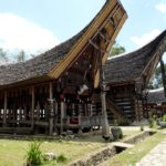 Toraja_Tongkanan_seitlich