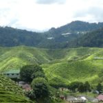 Cameron_Highlands_Panorama