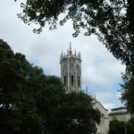 Auckland_Turm_Baum
