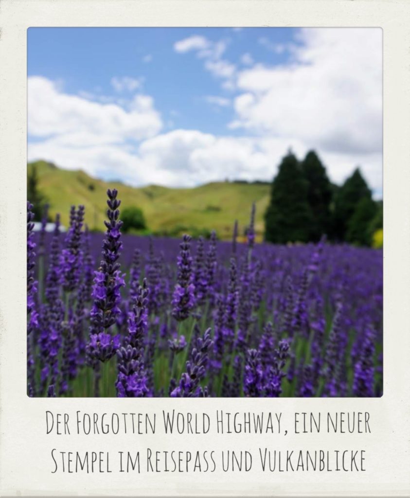 Titelbild_Forgotten_World_Highway