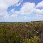 Tongariro_Gras